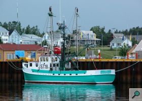 View from Caraquet harbour